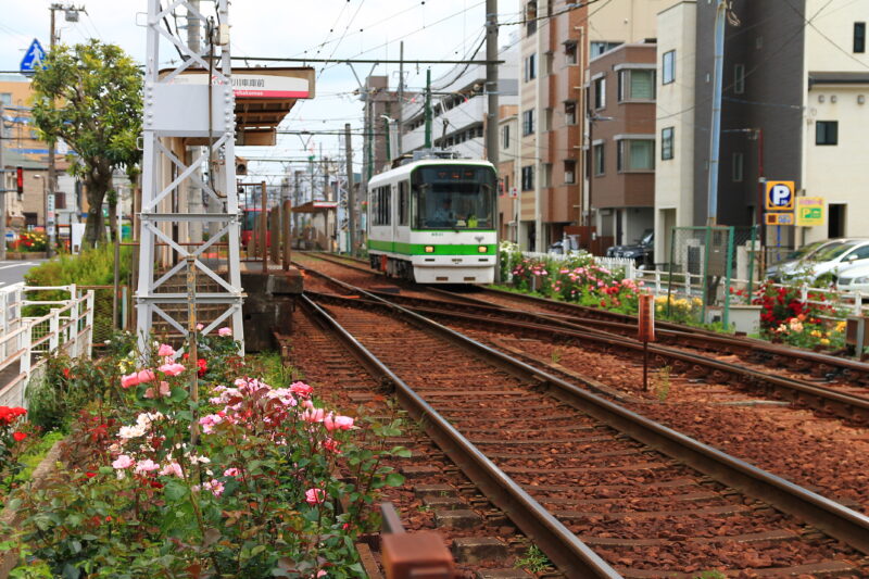 都電荒川線 