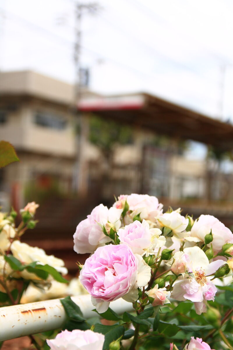 都電荒川線 