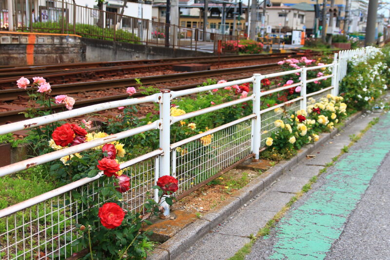 都電荒川線