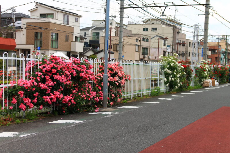 都電荒川線