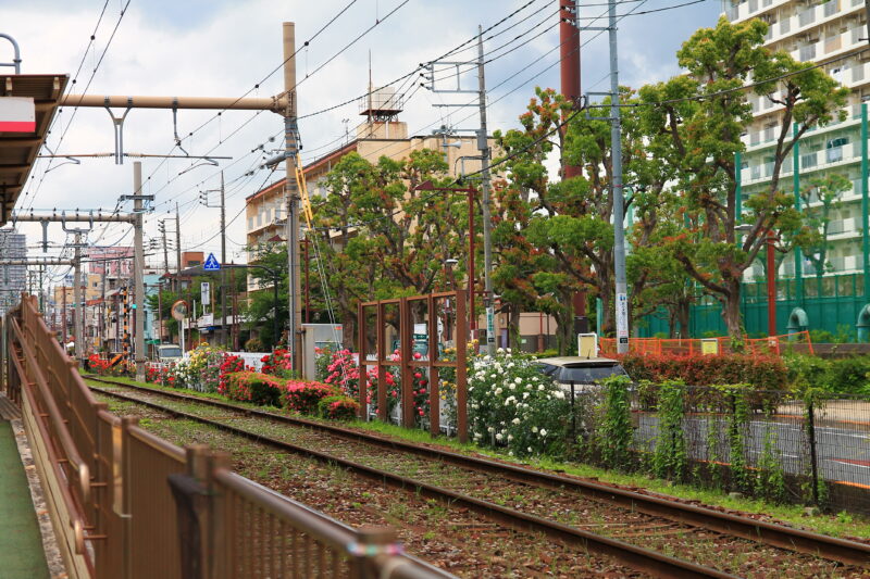 都電荒川線