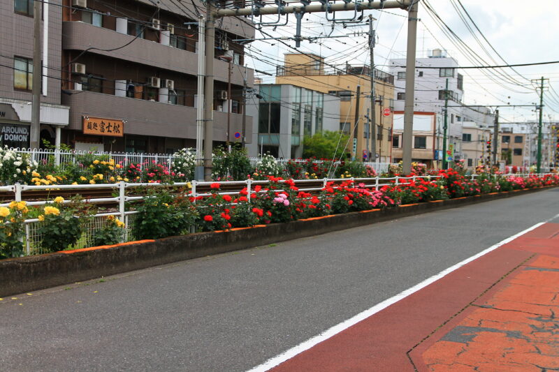 都電荒川線