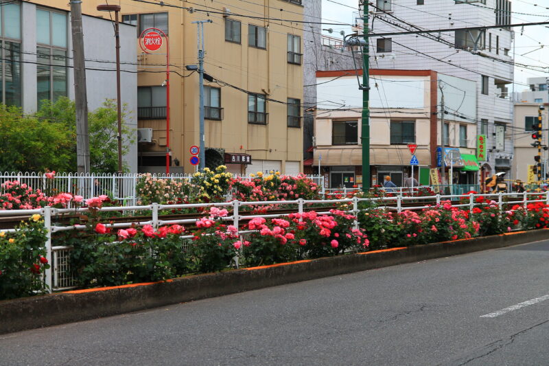 都電荒川線