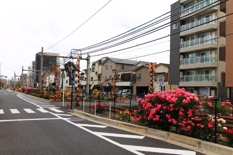 都電荒川線