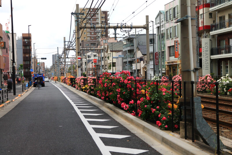 都電荒川線