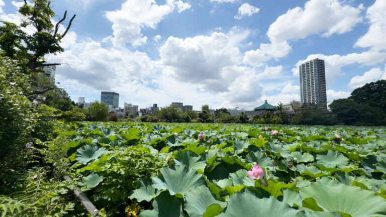上野公園