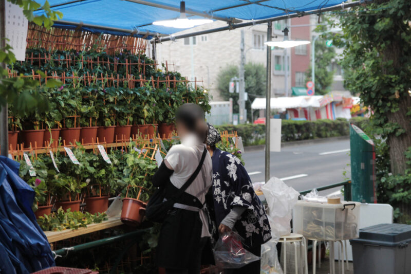 入谷朝顔まつり