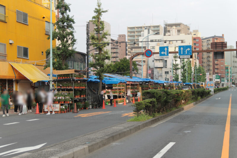 入谷朝顔まつり2025