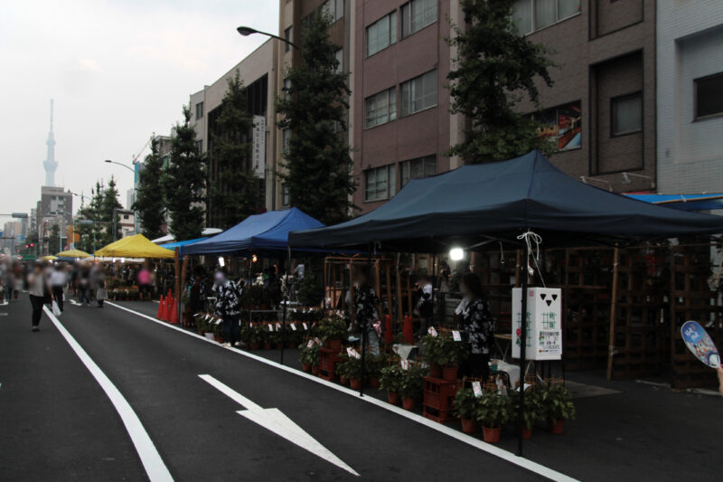 入谷朝顔まつり