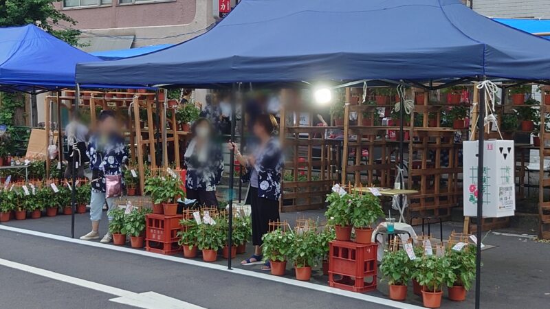 入谷朝顔まつり