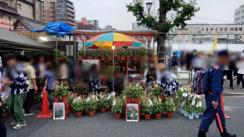 入谷朝顔まつり