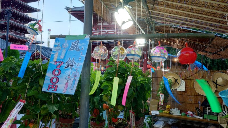 浅草ほおずき市