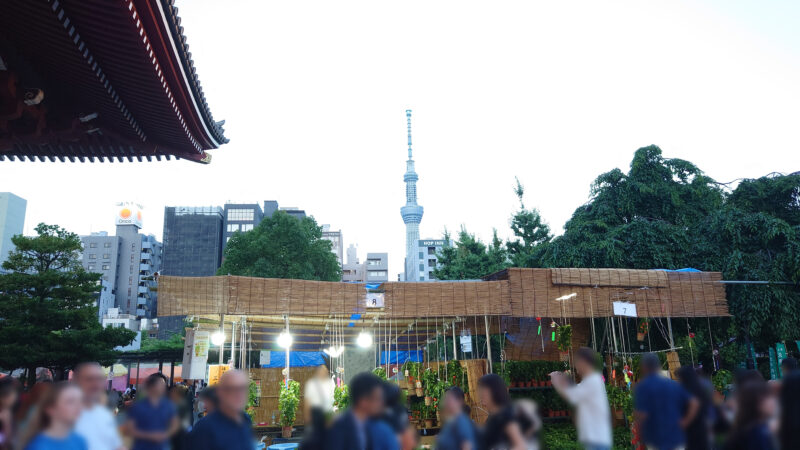浅草ほおずき市