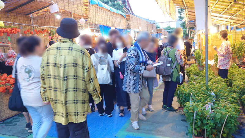 浅草ほおずき市