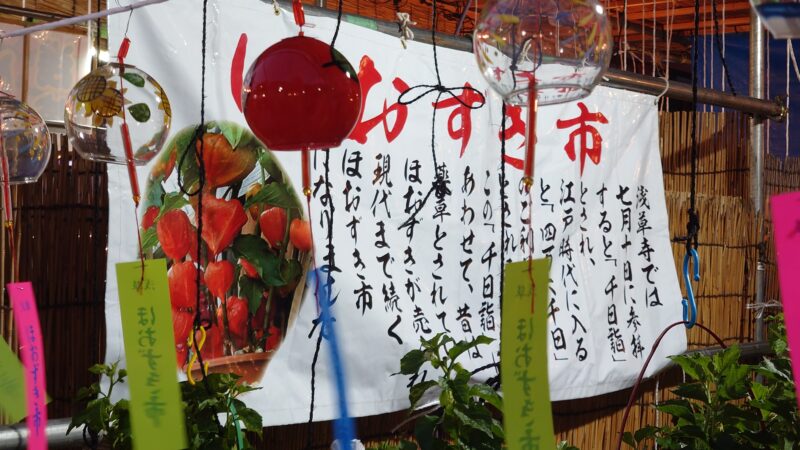浅草ほおずき市