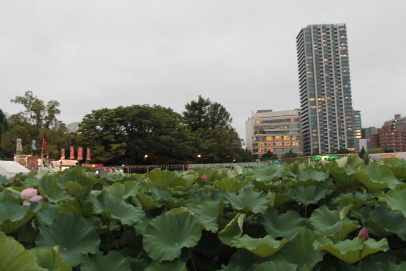 第74回 江戸趣味納涼大会うえの夏まつり
