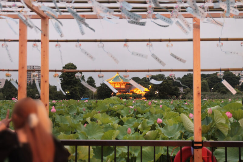 第74回 江戸趣味納涼大会うえの夏まつり